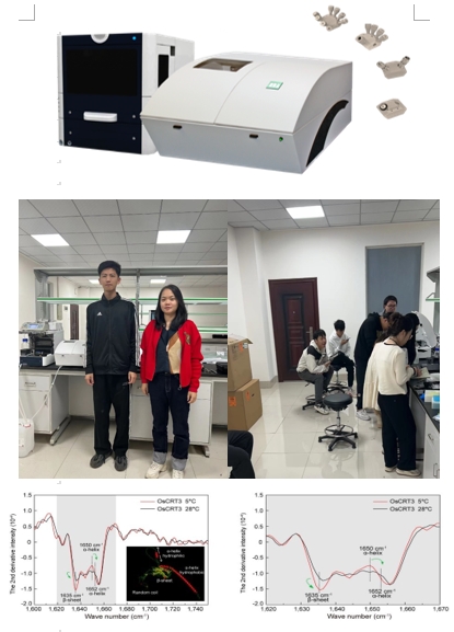 长沙理工大学.jpg